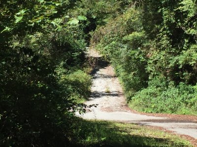 013.新居浜方面への道が見つからない②