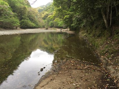 008.ダムから続く林道へ①