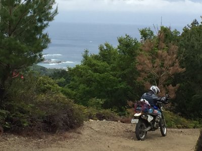 021.大鎌・椎平林道③