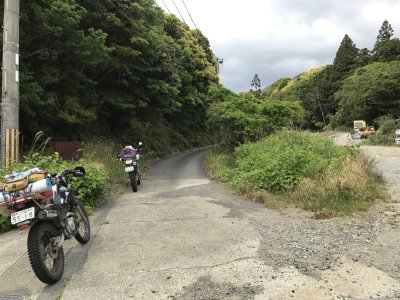 019.大鎌・椎平林道①