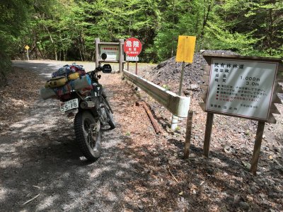 017.猪笹林道～川津今西林道②