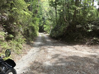 006.坂泰林道へ②