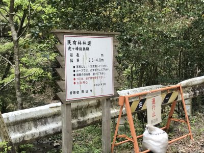 011.虎が峰坂泰林道②