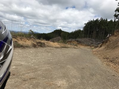 014.虎が峰坂泰林道⑤