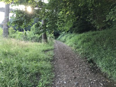 002_鳥居林道へ①