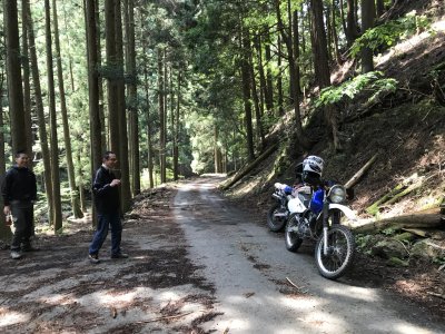 007_雲が畑の林道へ②