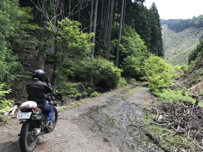 008_雲が畑の林道へ③