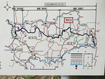 019_基幹林道へ接続②