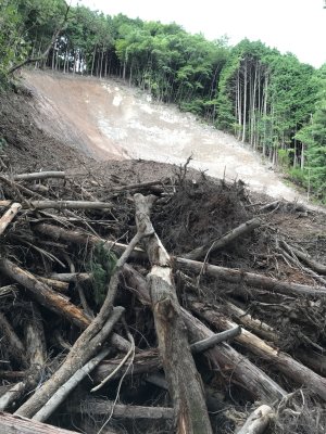 011.案の定ダメでした①