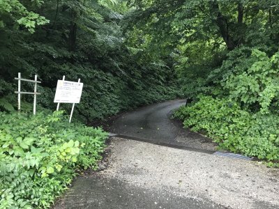 008.氷ノ山林道の北側