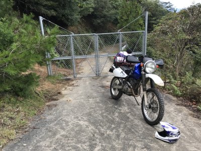 006.田の向林道の終点①