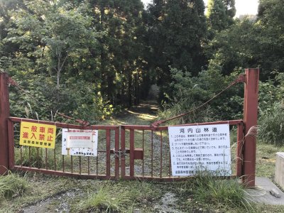 028.河内山林道②