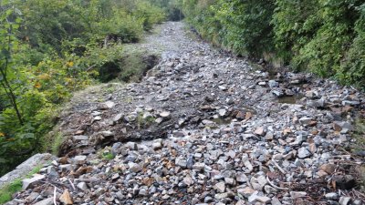 030.河内山林道④