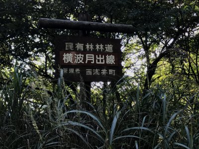 021.横波月出線②