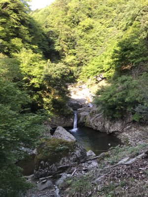 001.朝の阿瀬渓谷