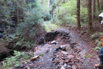 018.迂回して見つけた林道