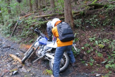 020.松ちゃんコケる②