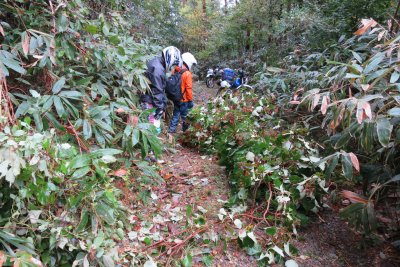 020.林道というか山道？②