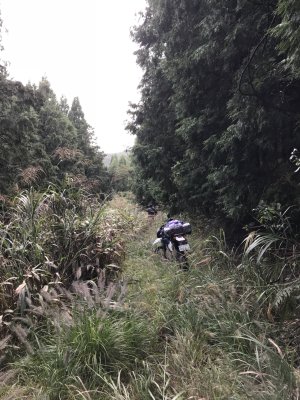 021.さらにはミスコースか？①