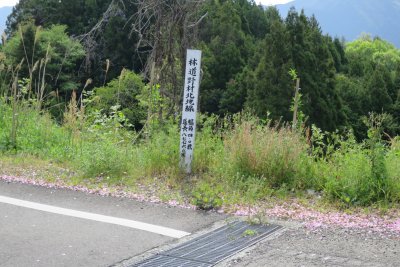 015.野村北地林道①