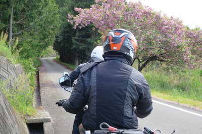 016.野村北地林道②