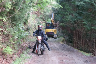 017.野村北地林道③