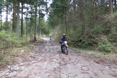 032.不二峰林道①