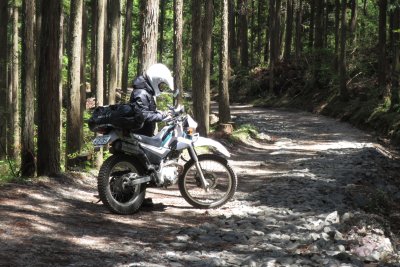 033.不二峰林道②