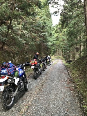 014.大平林道へ②