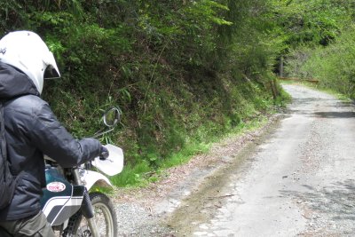 022.自念子林道見～つけた！②