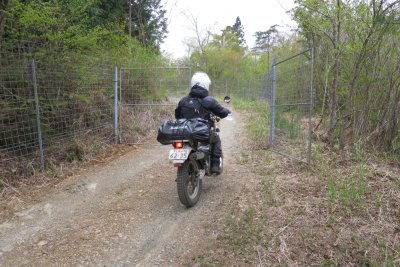 032.国見山に広がる林道群②