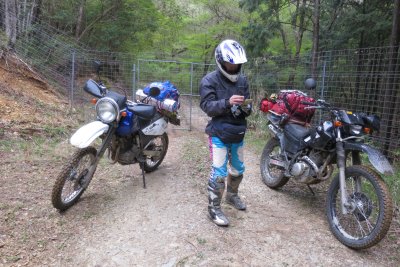 033.国見山に広がる林道群③