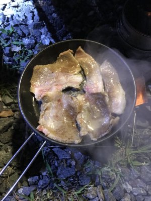 047.安芸市で野営④