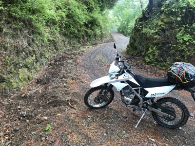 011.張川林道で①