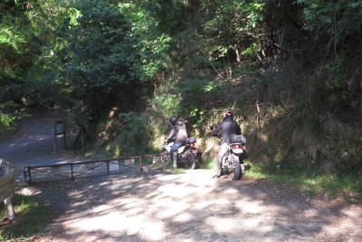 005.高槻にあるちょっとした林道③