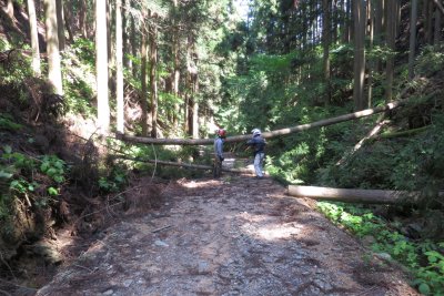 012.（仮称）ウジウジ峠林道にて