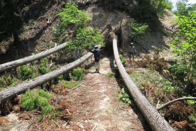 018.雲が畑エリアの林道突入③