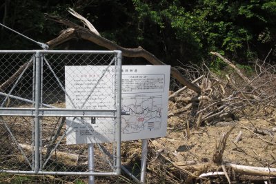025.丹波広域基幹林道への林道②