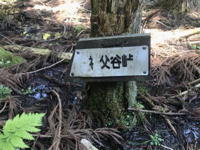 017.雲が畑エリアの林道突入②