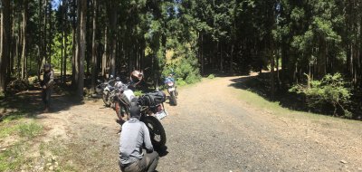 016.雲が畑エリアの林道突入①