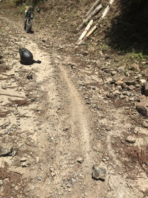 019.しげちゃんが転倒①