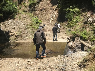 020.しげちゃんが転倒②