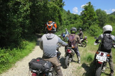 011.野所長谷林道