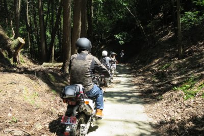 012.野所長谷林道