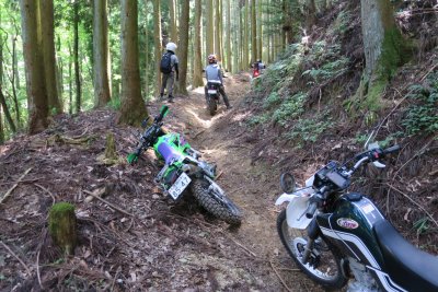 019.ピョンピョン林道