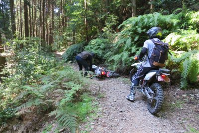 028.シゲちゃんこけてたのね？