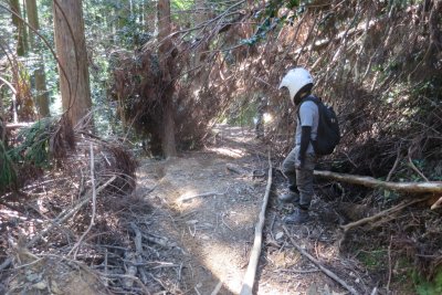 029.パンティ林道