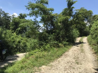 013.府道４号線にある林道