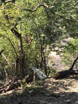 027.パンティ林道