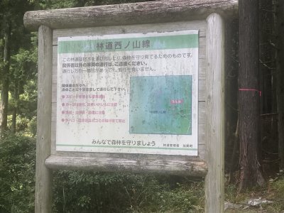 001.アプローチ路となる西の山林道①